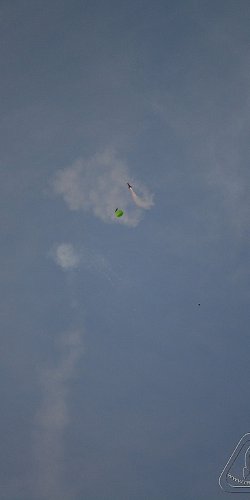 2012 Svojek mirek patek